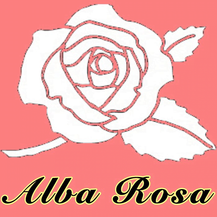 大阪の結婚相談所-マリッジサロン アルバ・ロサ(Alba Rosa)