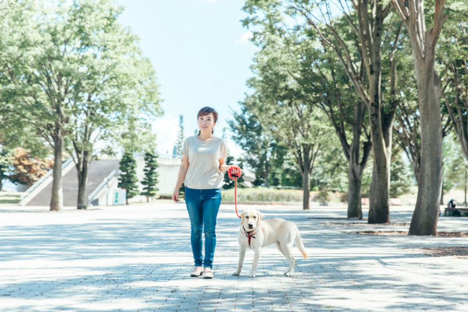 犬と散歩をする女性